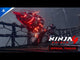 Ninja Gaiden 4 (PS5)